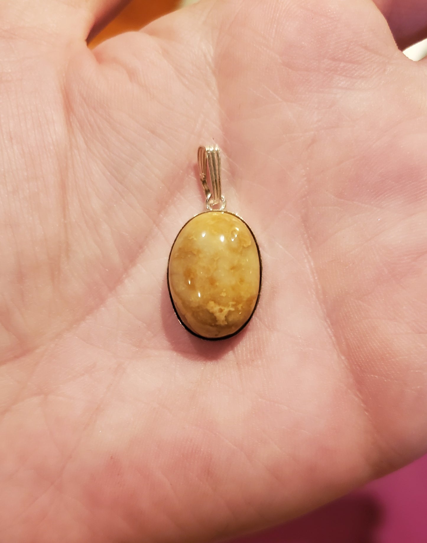Bozeman Jasper with Bird Design - 18x13 Cab, Silver Setting