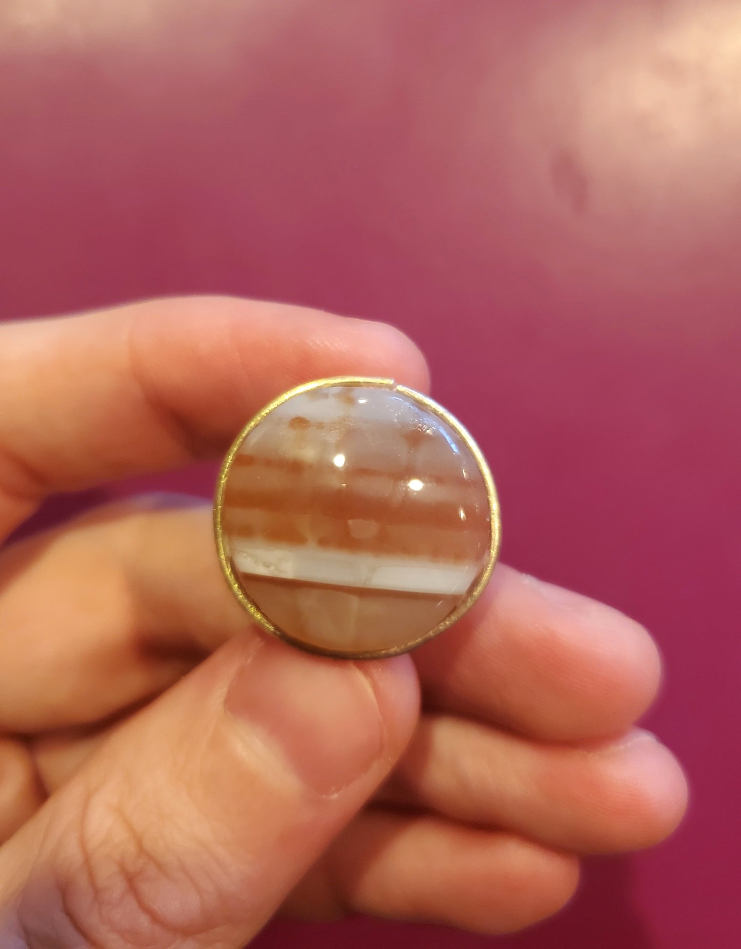 Carnelian Waterline Agate Bolo Tie Clip