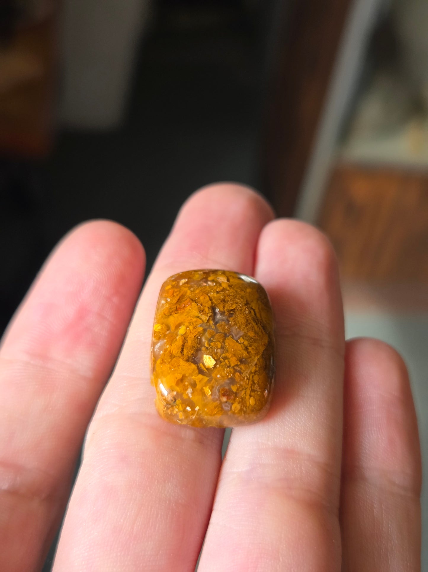 Bogwood Agate Jewelry Ready Cabochon - 31 mm x 24 mm