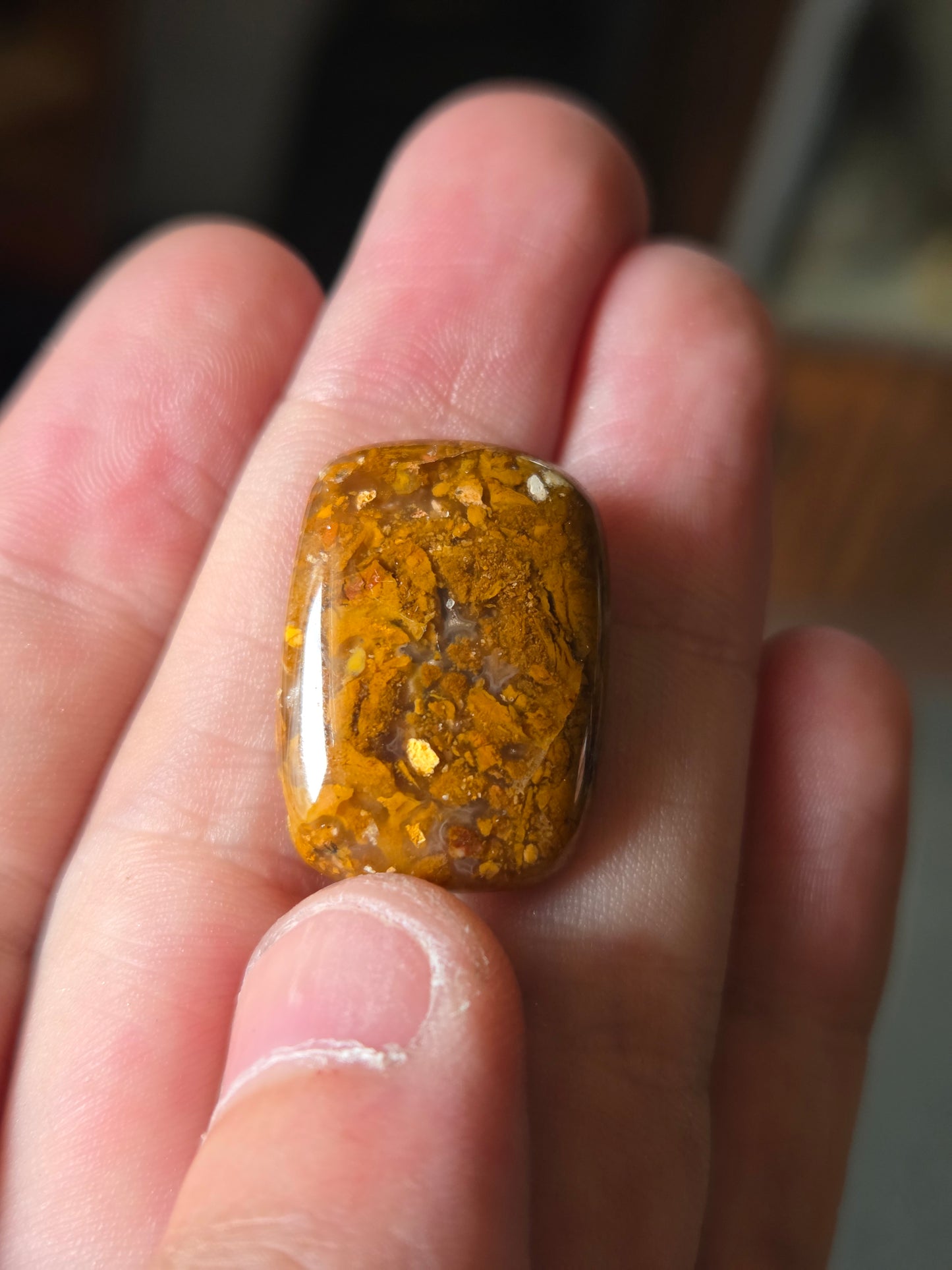 Bogwood Agate Jewelry Ready Cabochon - 31 mm x 24 mm