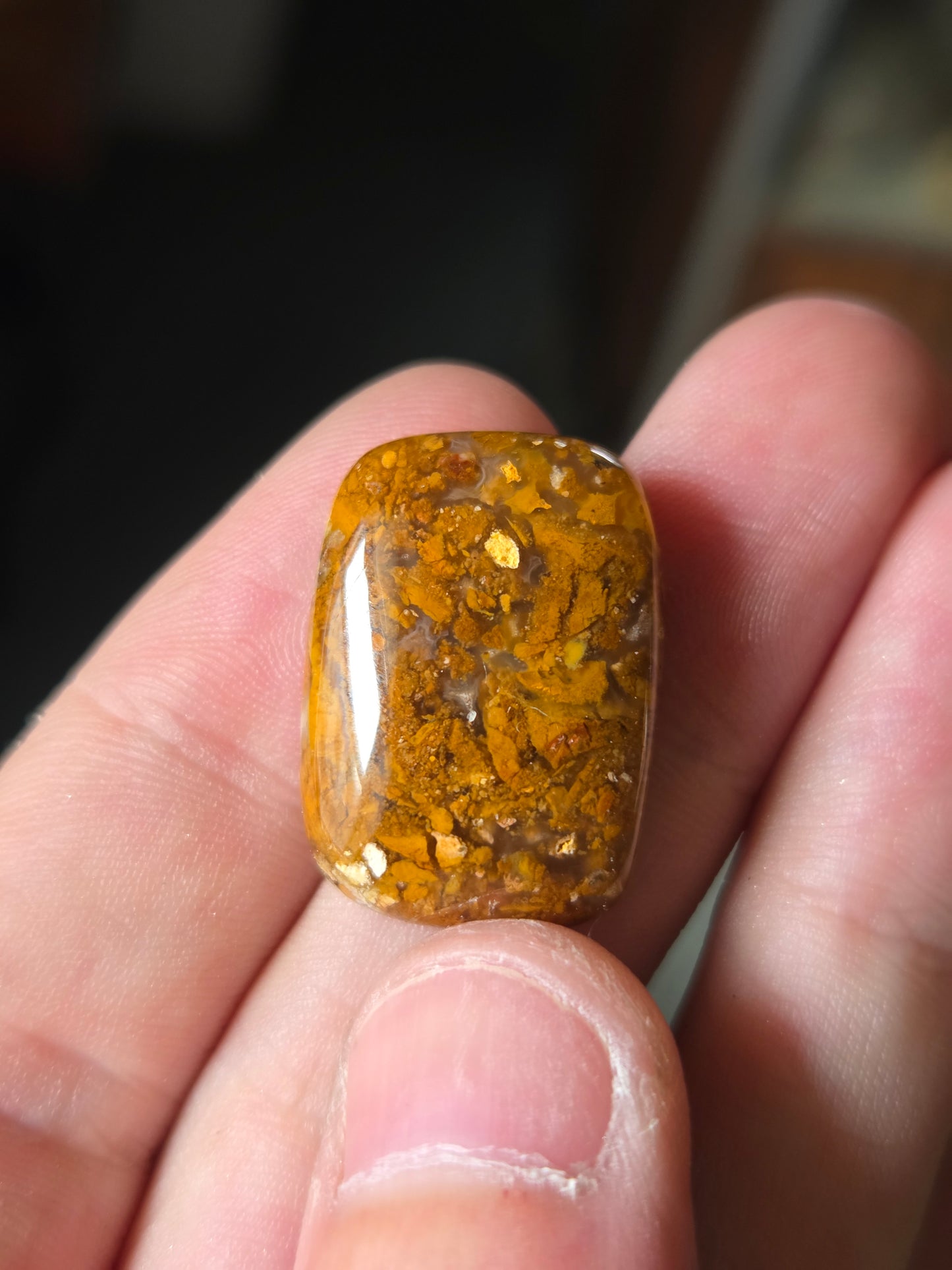 Bogwood Agate Jewelry Ready Cabochon - 31 mm x 24 mm