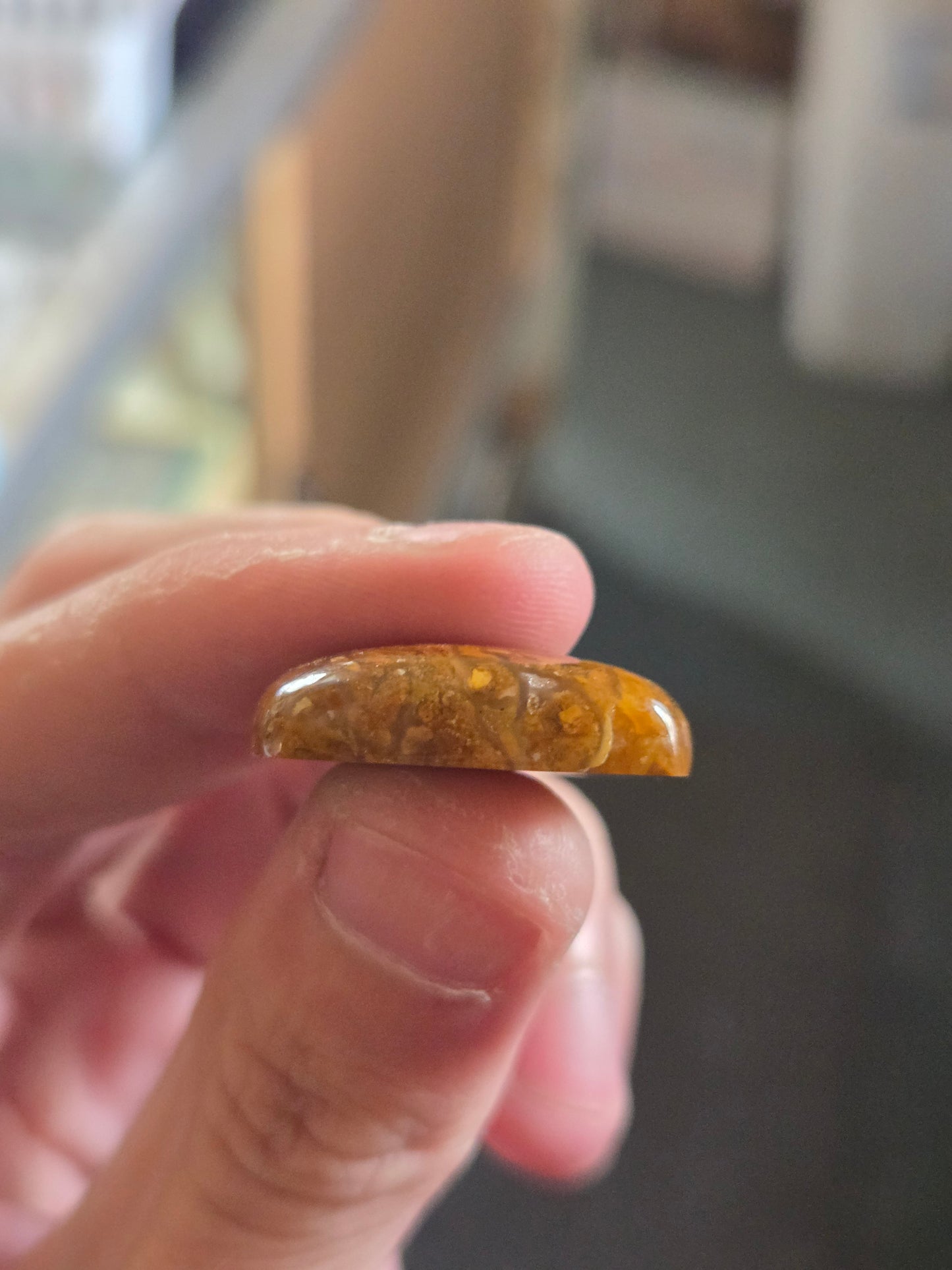 Bogwood Agate Jewelry Ready Cabochon - 31 mm x 24 mm